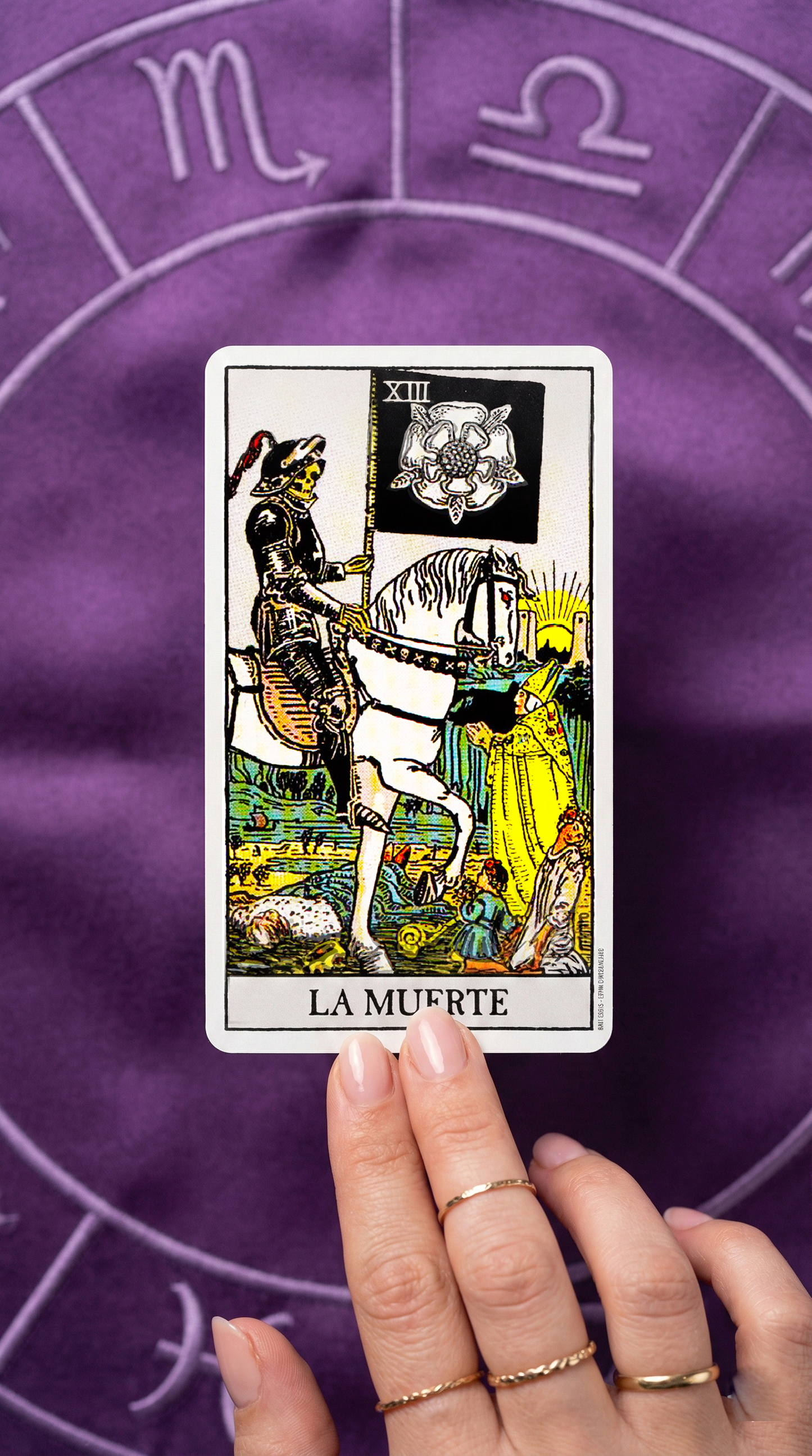APP TAROT DESDE CERO. HERRAMIENTA INTERÁCTIVA - Descubre tu carta del día, practica tiradas reales y desarrolla tu intuición con el tarot.
